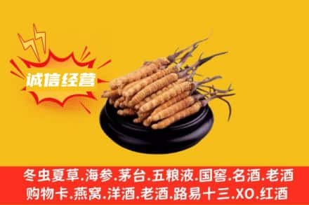 常州钟楼区回收冬虫夏草